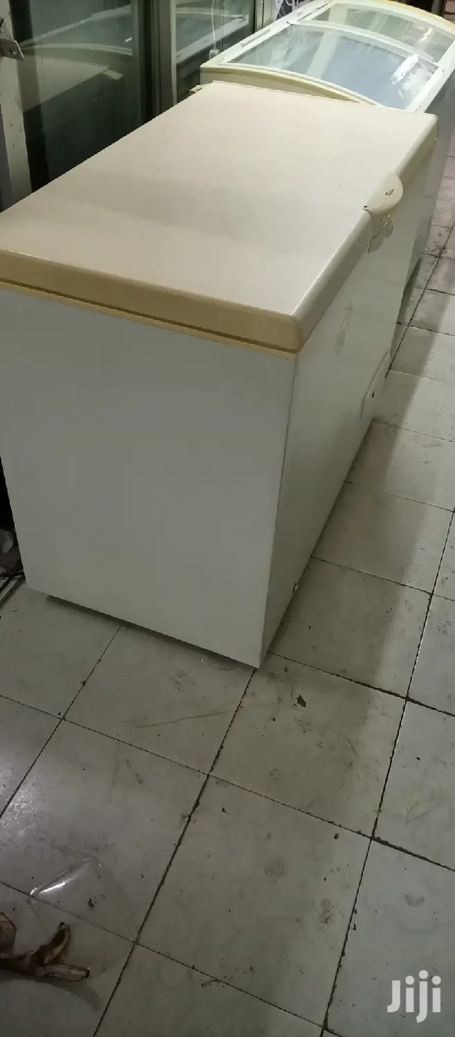 300L Deep Freezer