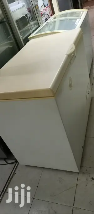 300L Deep Freezer