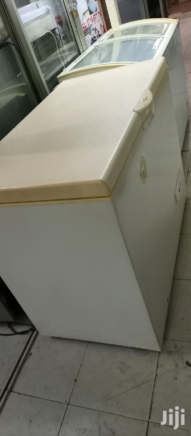 300L Deep Freezer