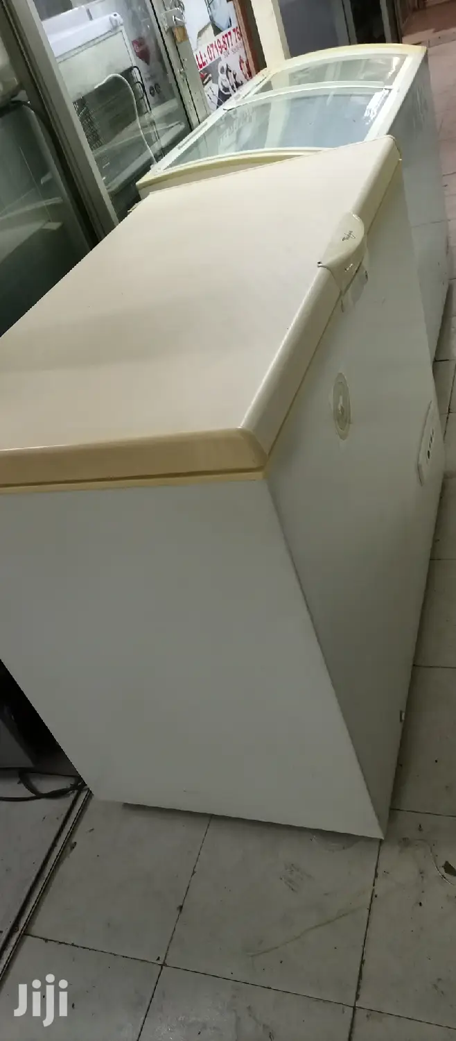 300L Deep Freezer