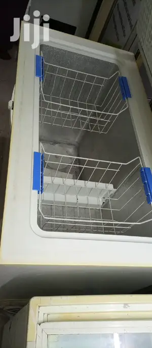 300L Deep Freezer