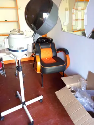 Hair Steamer
