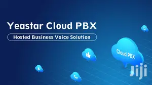 IP Phone Systems Installation and Support Services