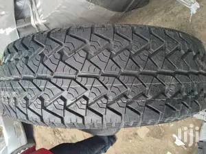 Sportcat Tires