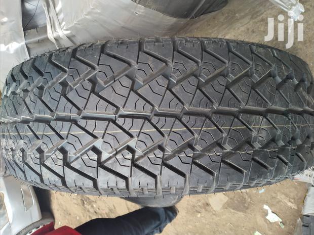 Sportcat Tires