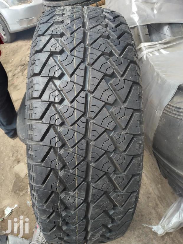 Sportcat Tires - thumbnail 2