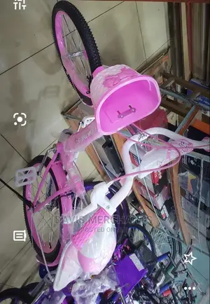 Speed King Girl Bicycle Size 20