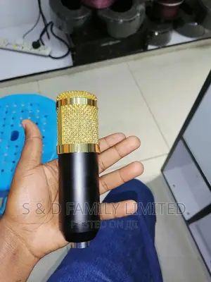 BM 800 Condenser Microphone