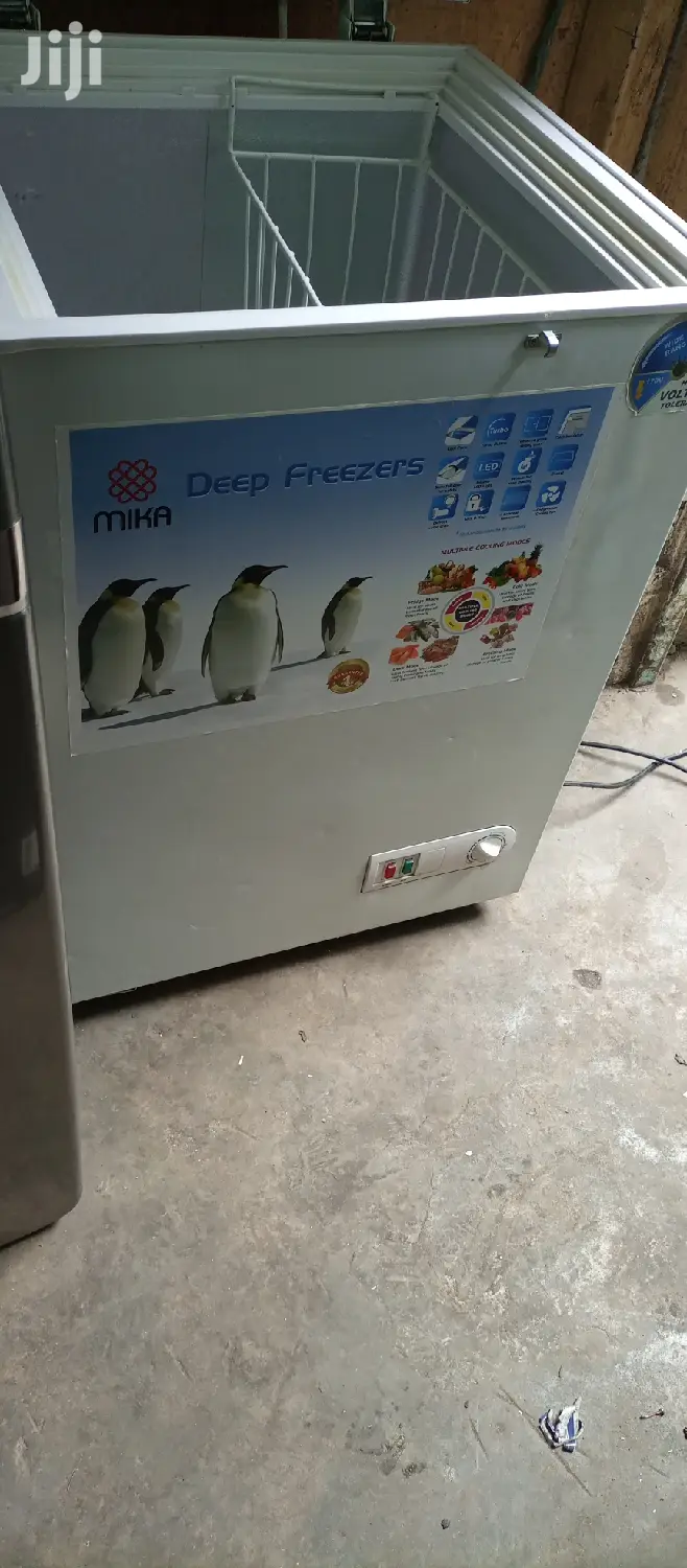 Mini Freezer
