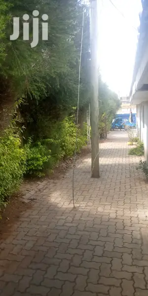 Studio Apartment in Langata for rent