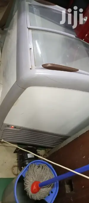 Display Freezer 250L