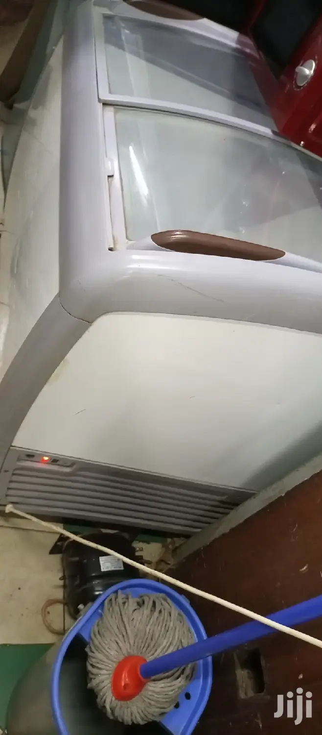 Display Freezer 250L