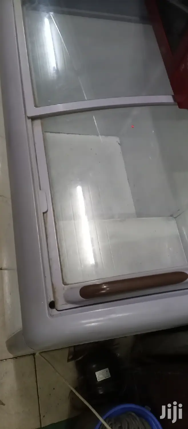 Display Freezer 250L