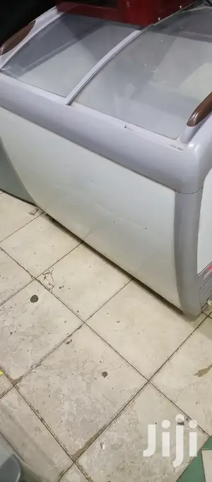 Display Freezer 250L