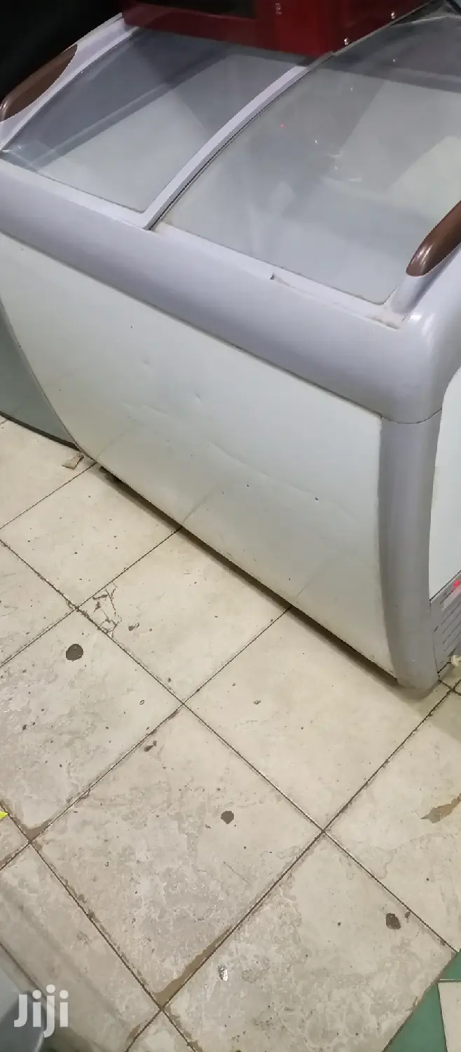 Display Freezer 250L