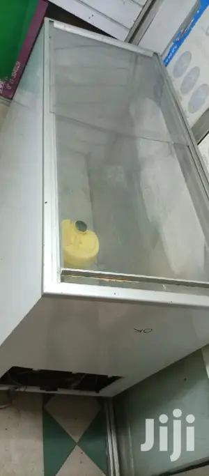 Display Freezer 500L