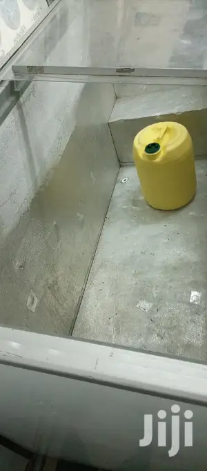 Display Freezer 500L