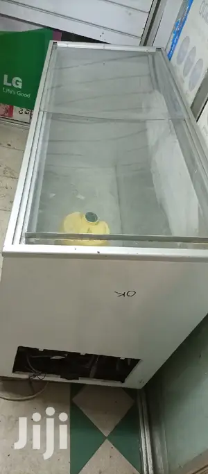 Display Freezer 500L