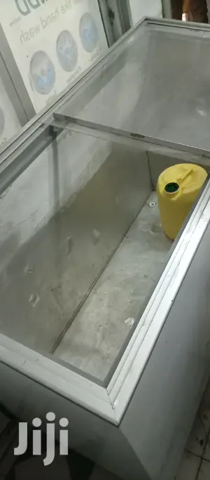Display Freezer 500L