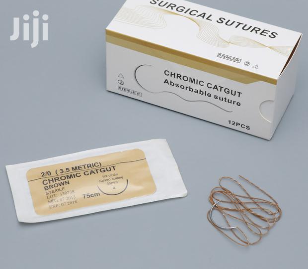 Cat Gat Chromic - main view