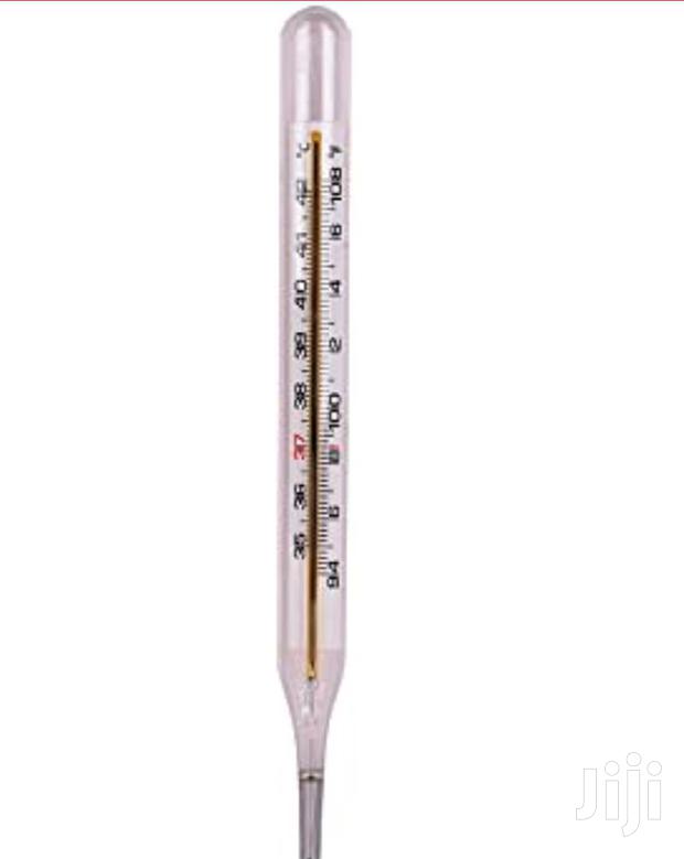 Clinical Thermometer - main view