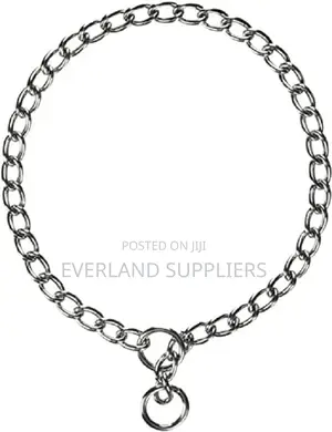 Dog Choke Chain