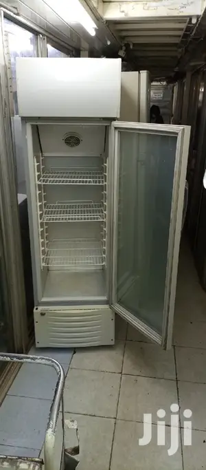 Display Fridge Ramtons