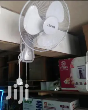 Appropriate Wall Fan