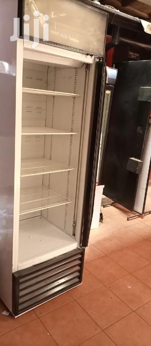 Fridge Display - main view