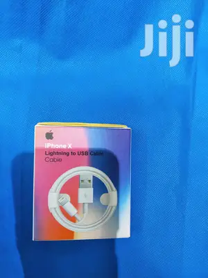 iPhone X Data Cable