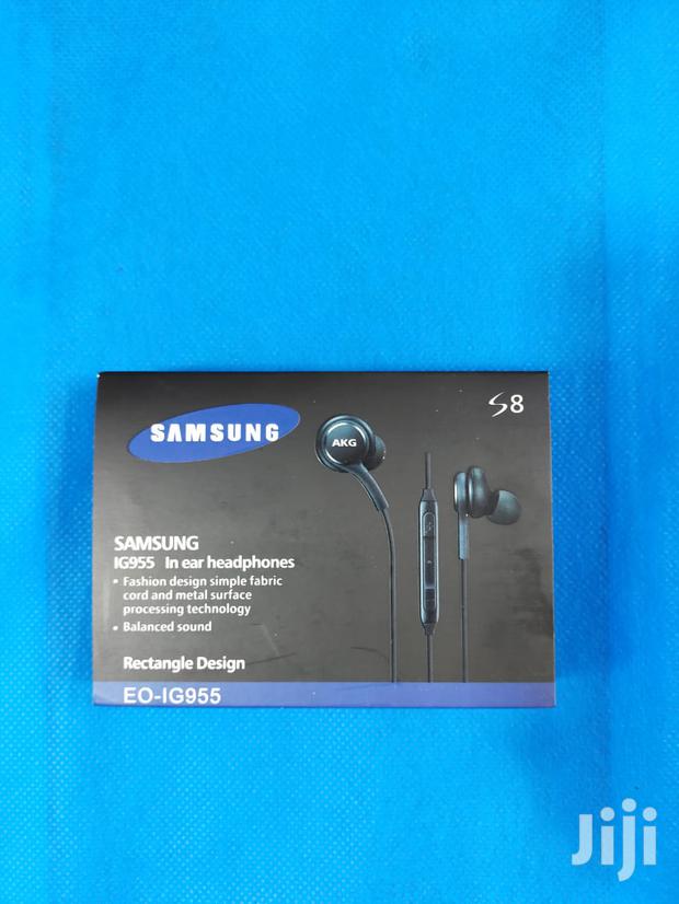 Samsung Akg Earphones - main view