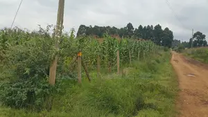 5 Acres Annex With Title Less Than 1km From Tarmac