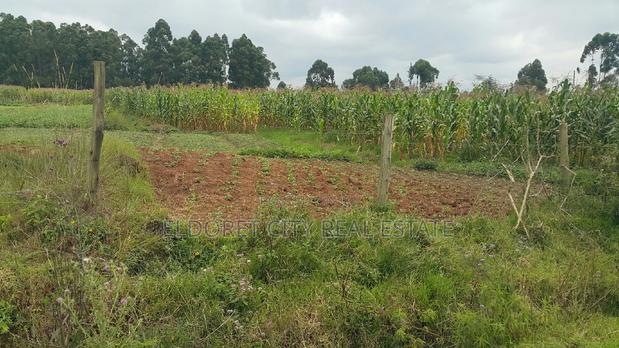 5 Acres Annex With Title Less Than 1km From Tarmac - thumbnail 2