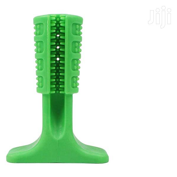 Dog Toy Bone / Toothbrush - main view