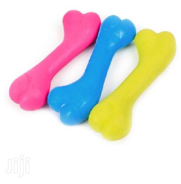 Dog Bone Toy - main view