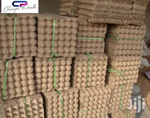 50pcs Concept Packs Carton Egg Trays