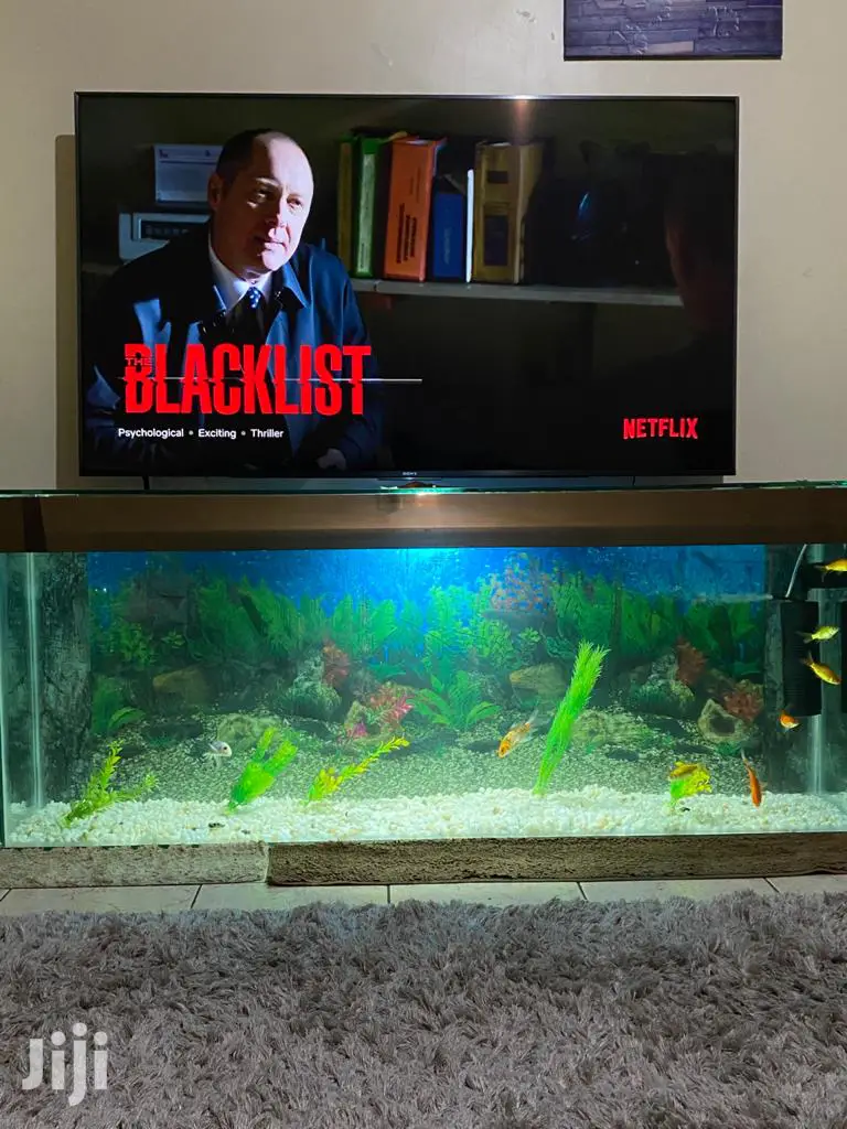 TV Stand Aquarium in Karen Fish, Aquacentury Aquacentury Jiji.co.ke