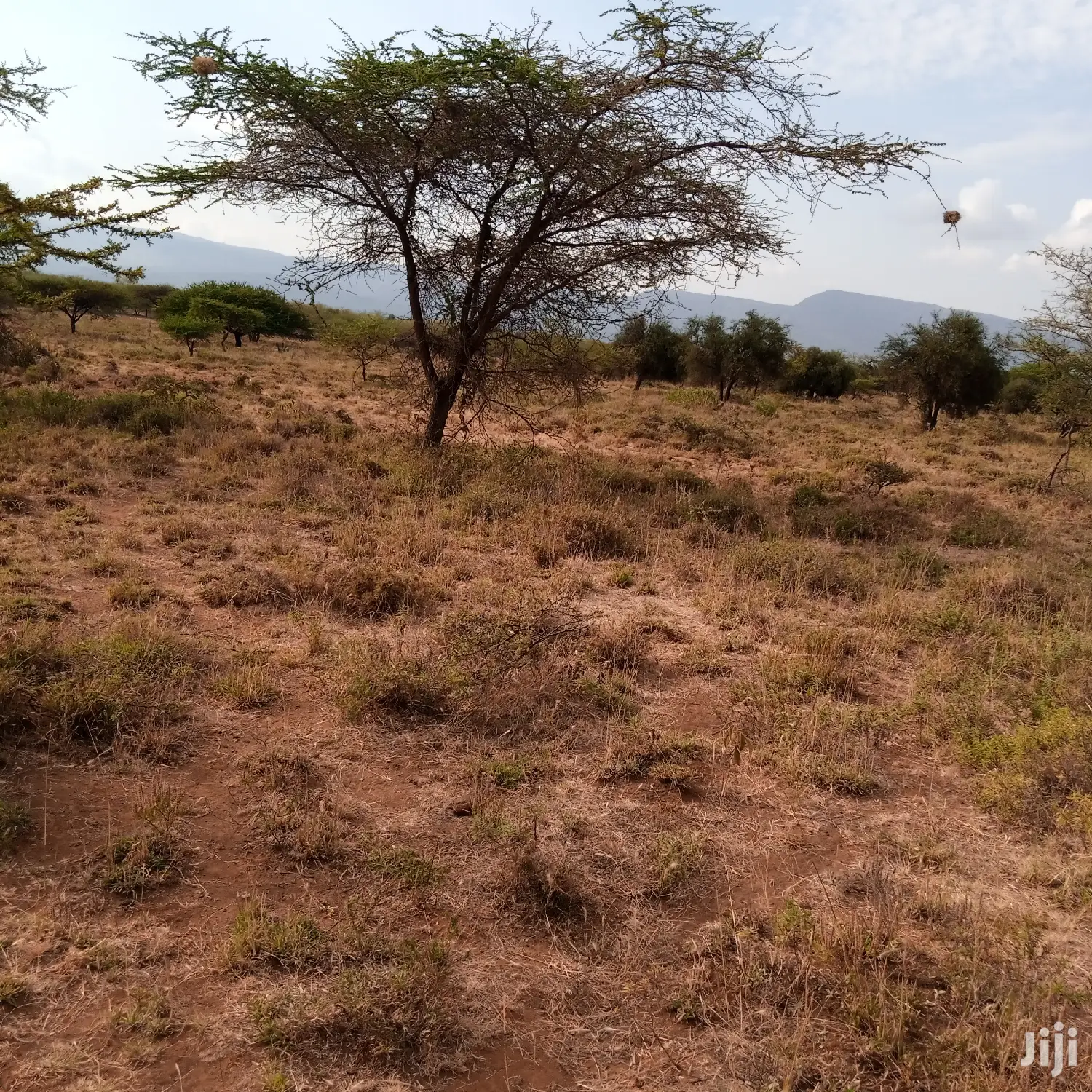 Prime 5 Acres Ewuaso Kedong at 850k