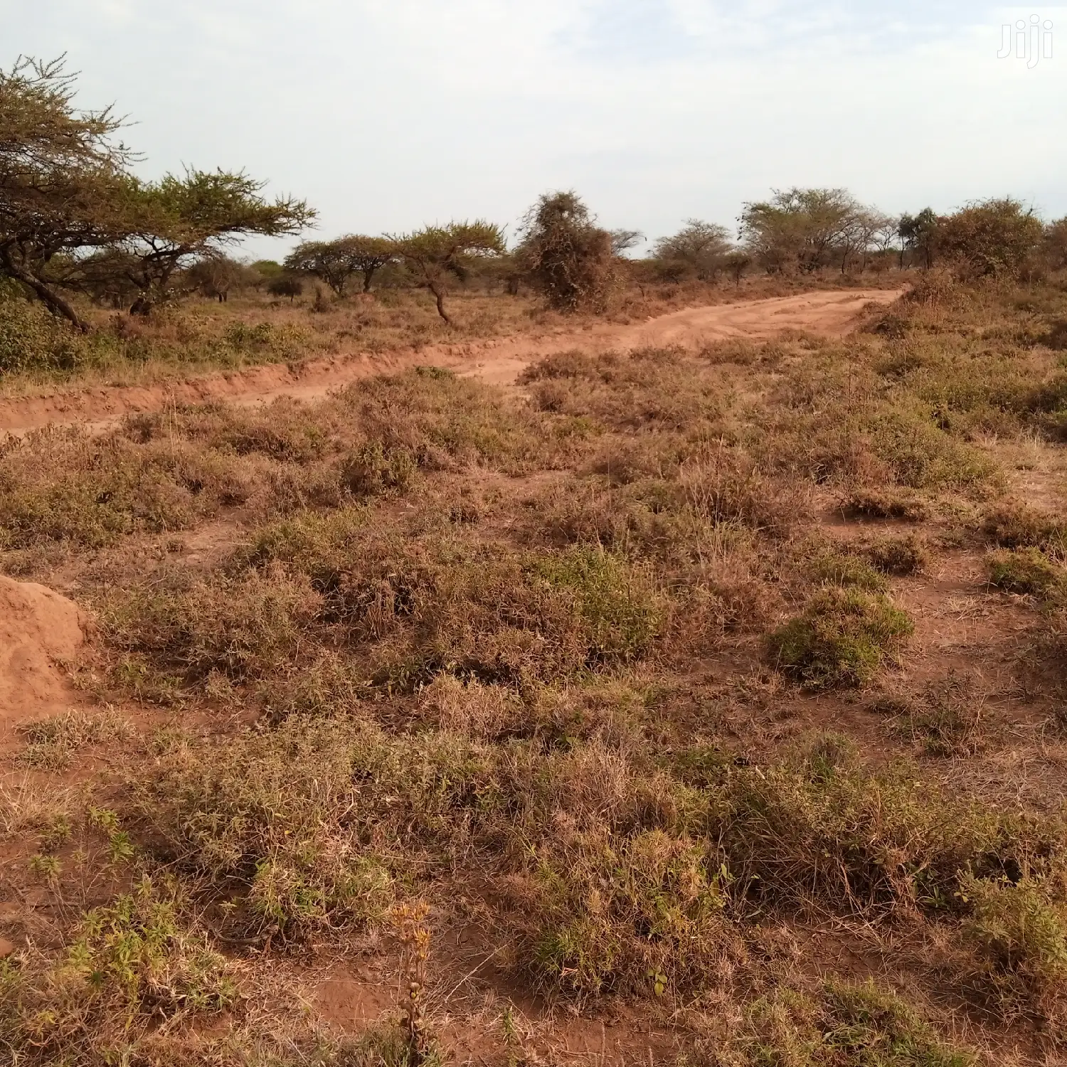 Prime 5 Acres Ewuaso Kedong at 850k