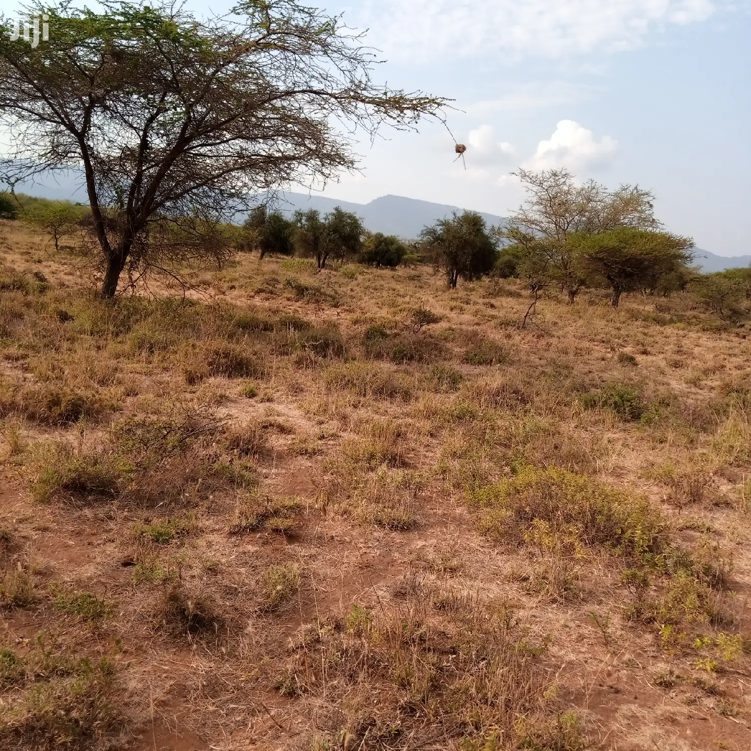 Prime 5 Acres Ewuaso Kedong at 850k