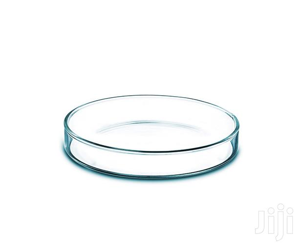 Petri Dish Glass - main view