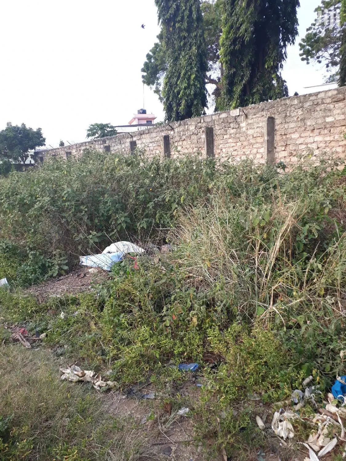 For Sale Quater Acre Plots Nyali