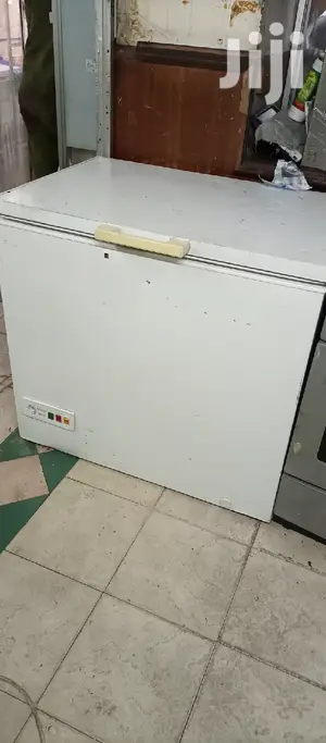 Freezer 300L