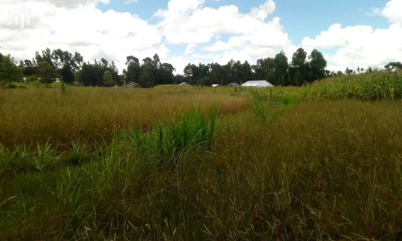 Oljoroorok Plots for Sale