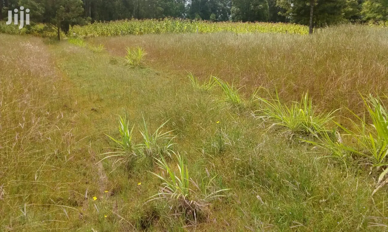 Oljoroorok Plots for Sale