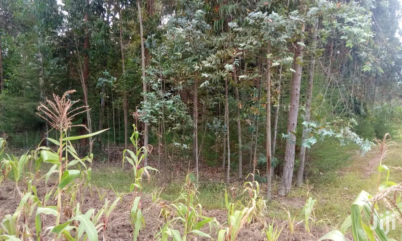 Oljoroorok Plots for Sale