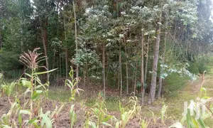 Oljoroorok Plots for Sale