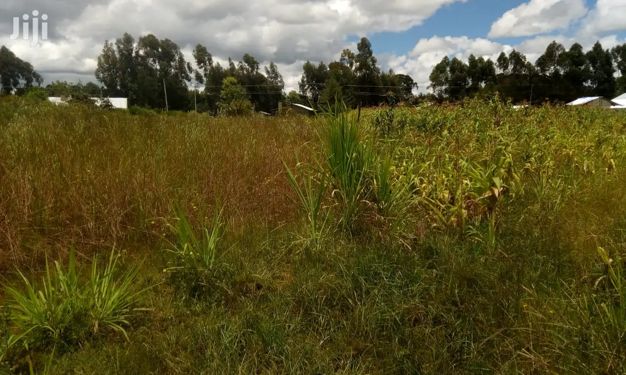 Oljoroorok Plots for Sale
