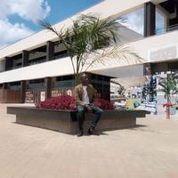 Wycky Car Truck Imports logo