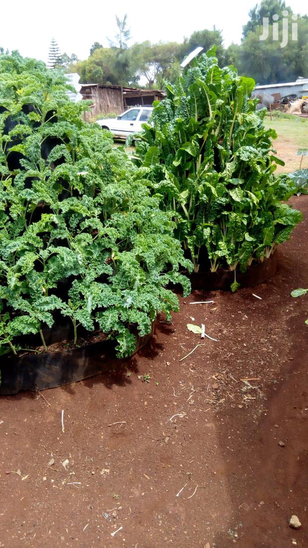 Hdpe Materials/Kitchen or Vertical Garden Materials - thumbnail 3